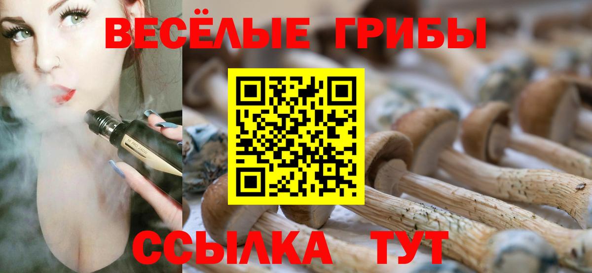 Псилоцибиновые грибы мицелий Реутов