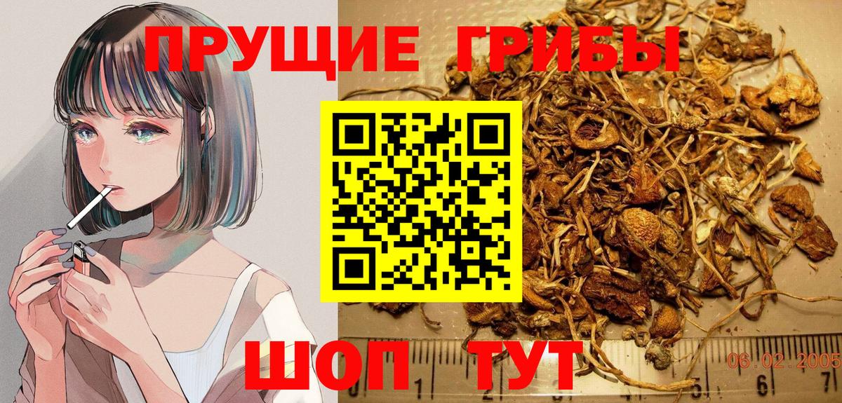 Псилоцибиновые грибы мухоморы  Галлюциногенные грибы GOLDEN TEACHER  Вход с VPN  Реутов 